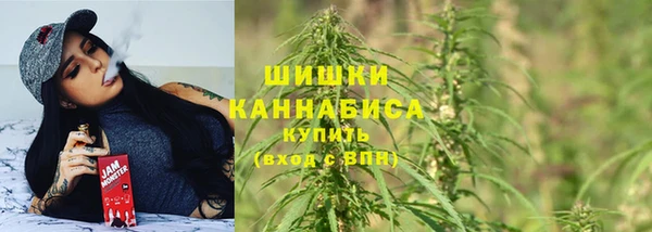 дживик Заводоуковск