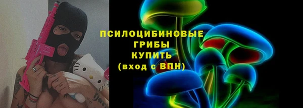 дживик Заводоуковск