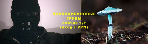 прущая мука Заволжье