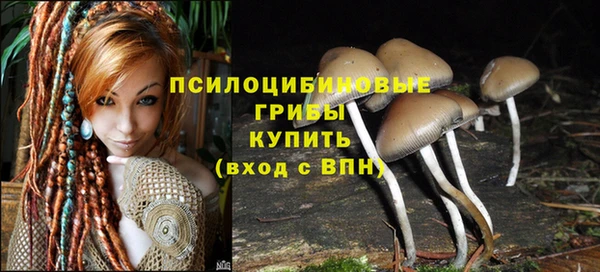 твердый Заволжск