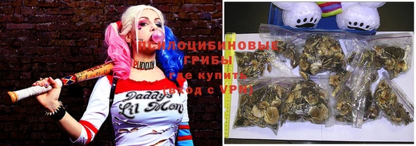 дживик Заводоуковск