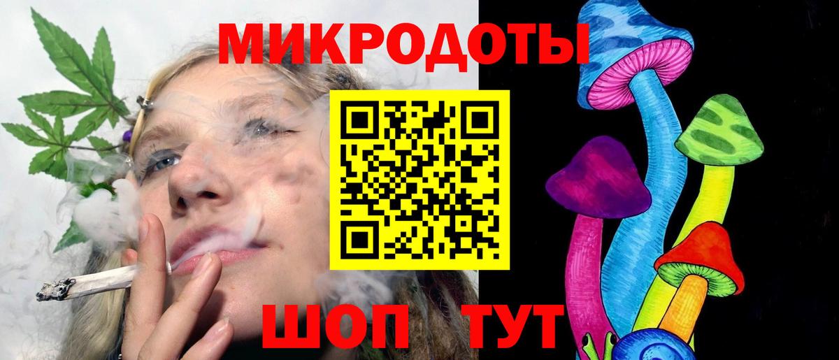 Псилоцибиновые грибы Psilocybine cubensis Москва