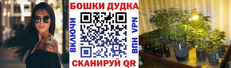 Бошки Шишки Bruce Banner  Москва 